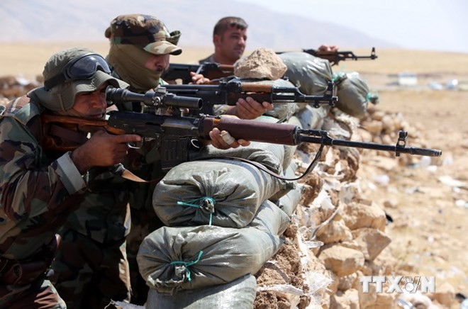 美国与其盟国一致同意向伊拉克库尔德人提供武器 - ảnh 1