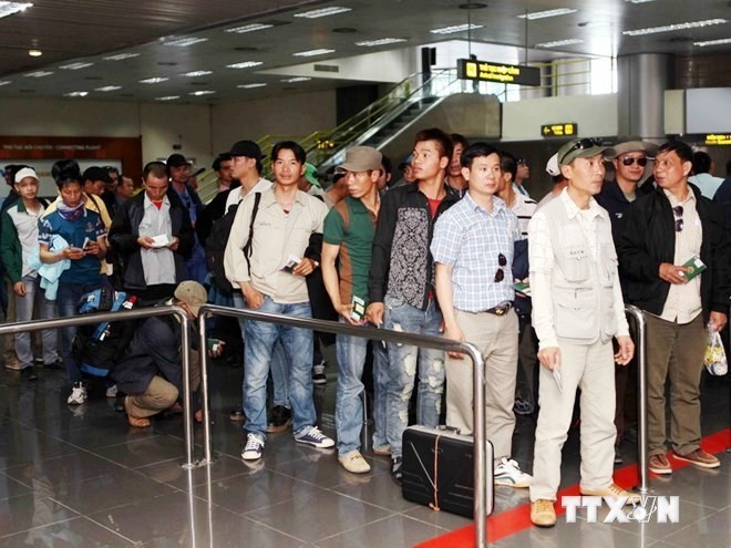 再有38名越南劳动者离开利比亚即将回国 - ảnh 1
