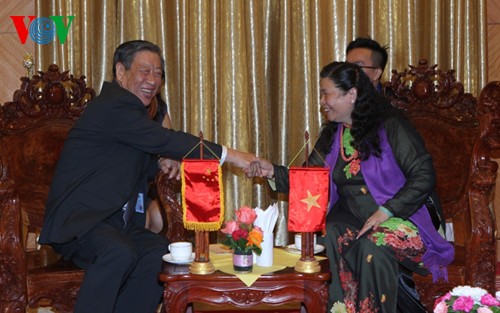 越南国会副主席丛氏放会见中国、日本和柬埔寨国会代表团团长 - ảnh 3