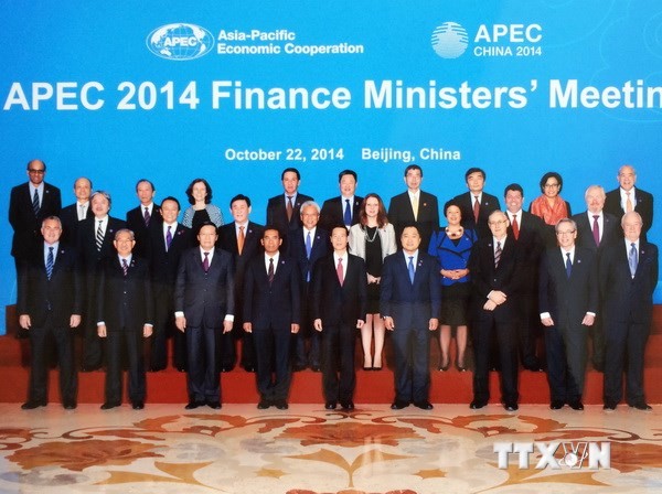 第21届亚太经合组织（APEC）财长会议发表联合声明  - ảnh 1