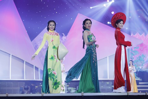 2014年越南小姐南部赛区比赛 - ảnh 2