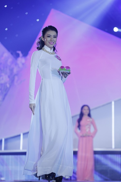 2014年越南小姐南部赛区比赛 - ảnh 3
