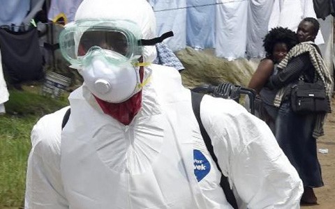 世界卫生组织预测埃博拉感染病例明年初将剧降 - ảnh 1