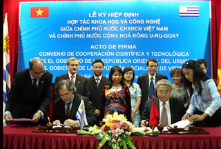 越南政府出台与外国合作协定落实指引文件 - ảnh 1