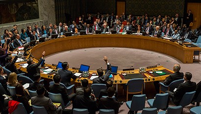 联合国安理会一致通过乌克兰问题决议 - ảnh 1