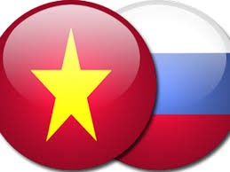 越南一向希望与俄罗斯一道推动两国关系向深度和广度有效发展 - ảnh 1