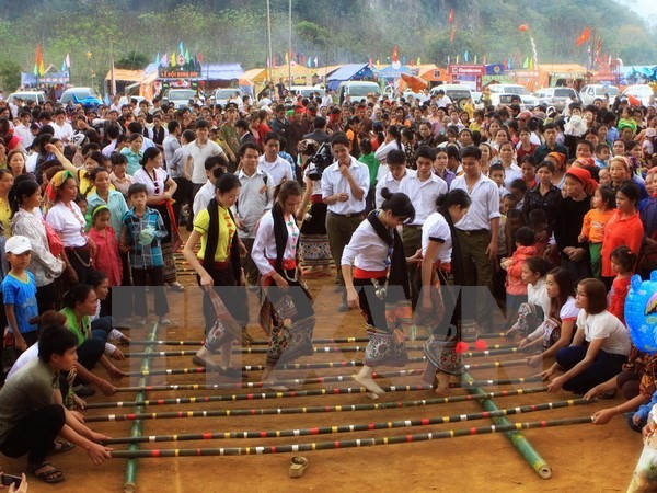 莱州省举行第一届泰族文化日活动 - ảnh 1