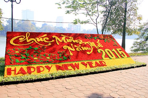 越南各地和世界各国人民喜迎2015年 - ảnh 2