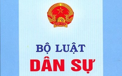 越南于1月5日就《民法修正案(草案)》征求人民意见 - ảnh 1