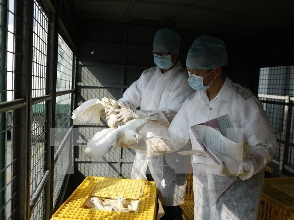 中国确诊2015年首例H7N9禽流感病例 - ảnh 1