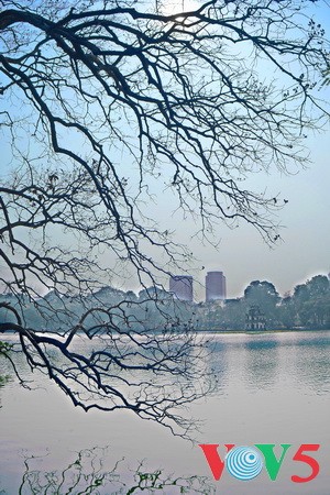 甲午年底漫步首都河内的心脏还剑湖 - ảnh 4