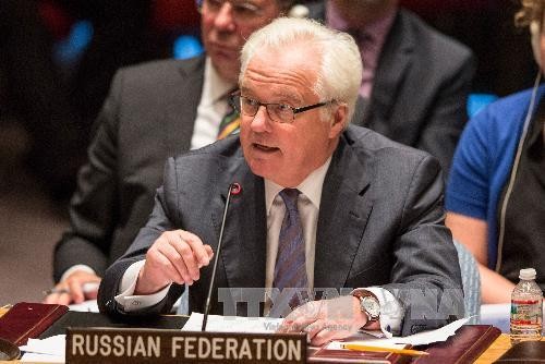 俄罗斯和捷克反对乌克兰关于派遣维和使团的呼吁 - ảnh 1