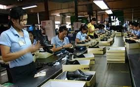 2015年越南皮革制鞋业力争实现出口140亿美元的目标 - ảnh 1