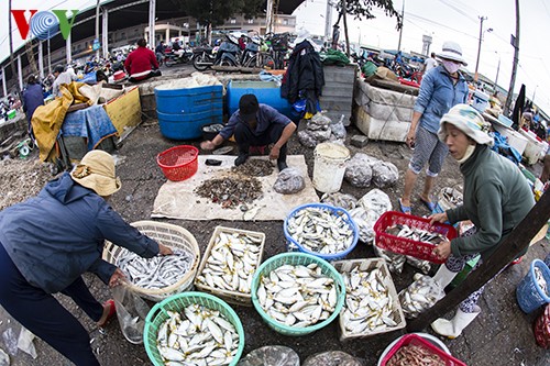 岘港市寿光海鱼市场热闹的春天 - ảnh 19