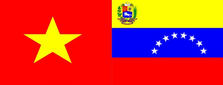 委内瑞拉外交部代表团访问越南 - ảnh 1