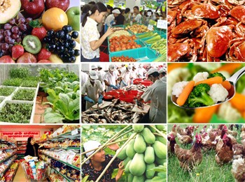 河内举行2015年食品安全行动月 - ảnh 1