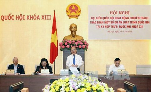 提高越南各地人民议会的活动质量 - ảnh 1
