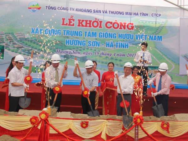 越南最大的鹿繁育中心在河静省动工兴建 - ảnh 1