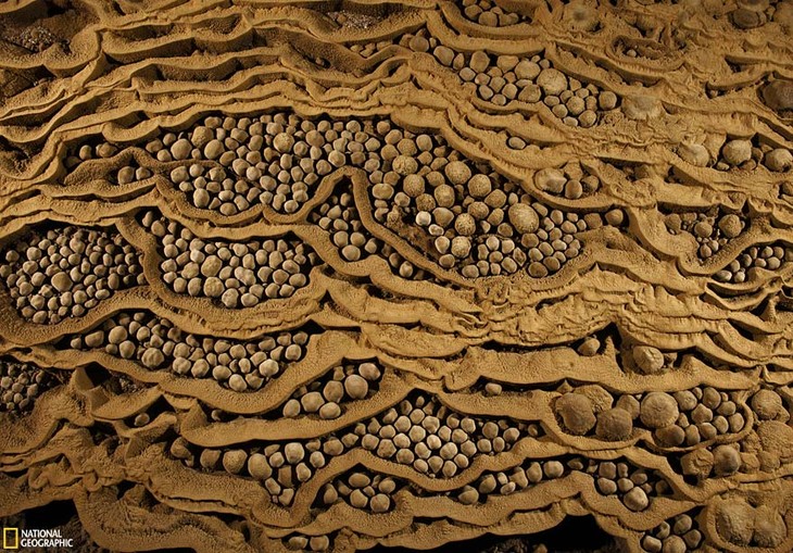 Son Doong洞——世界上最大的洞穴    - ảnh 9
