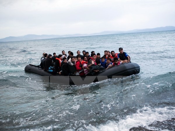 5000个移民在地中海获救 - ảnh 1