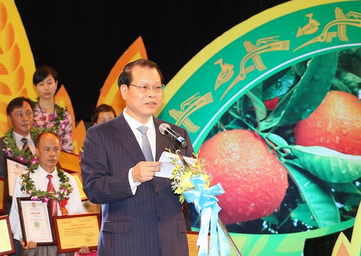 2014年越南农产品表彰会 - ảnh 1