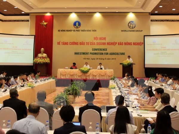 越南政府将为农业引进投资创造一切便利条件 - ảnh 1