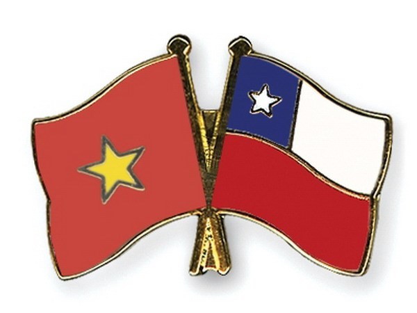越南和智利加强民间交流 - ảnh 1