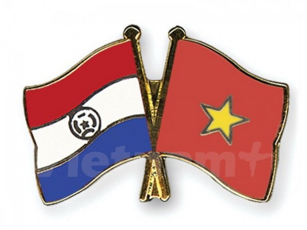 越南和巴拉圭举行建交20周年纪念活动 - ảnh 1