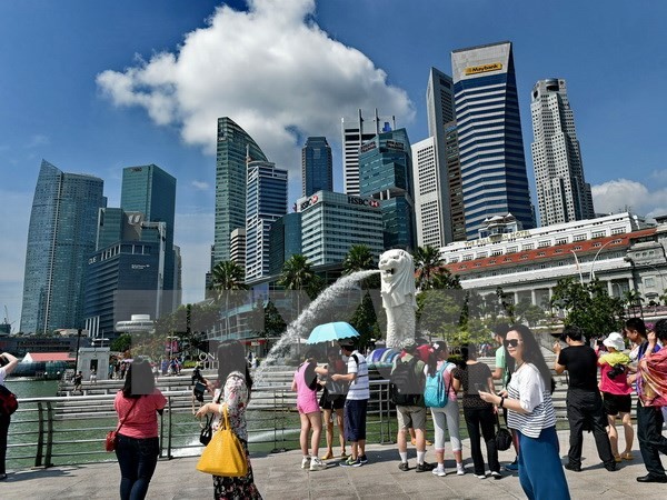 新加坡一向欢迎越南游客 - ảnh 1