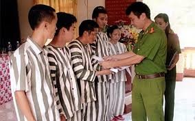 特赦体现越南国家人道政策的优越性 - ảnh 1