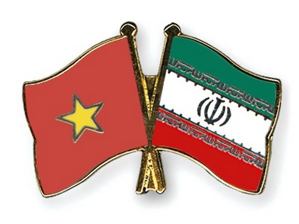 越南重视与包括伊朗在内的中东地区各国的关系 - ảnh 1