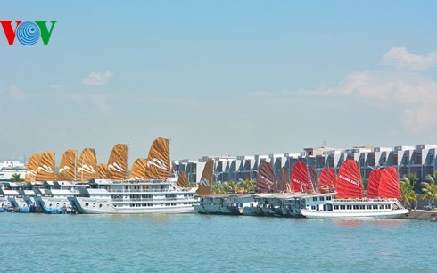  广宁省巡州国际游艇码头投入使用 - ảnh 1