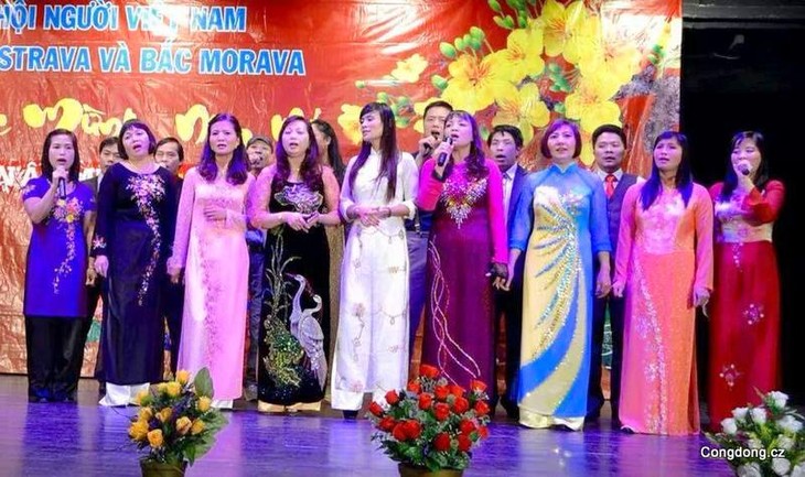 捷克举办欧洲越南企业家歌唱比赛 - ảnh 1