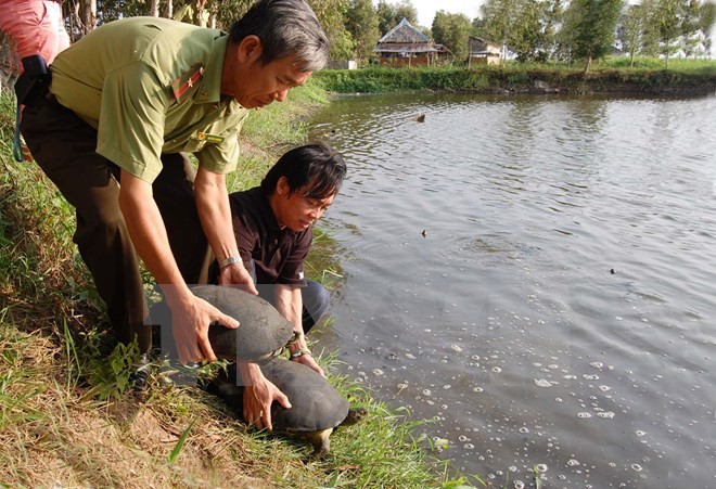 丹麦将继续协助越南保护生物多样性 - ảnh 1