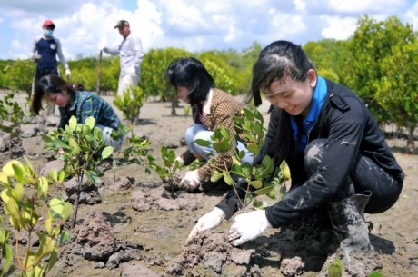 欧盟协助越南应对气候变化 - ảnh 1