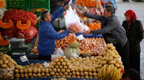 土耳其警告俄罗斯对其实施贸易制裁将影响俄农民 - ảnh 1