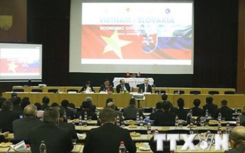 越南-斯洛伐克经济合作论坛在斯洛伐克举行 - ảnh 1