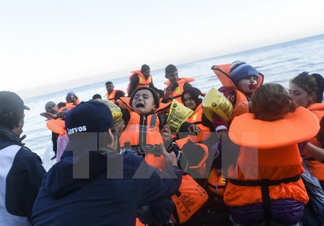 欧盟继续向接受移民的国家提供紧急援助 - ảnh 1