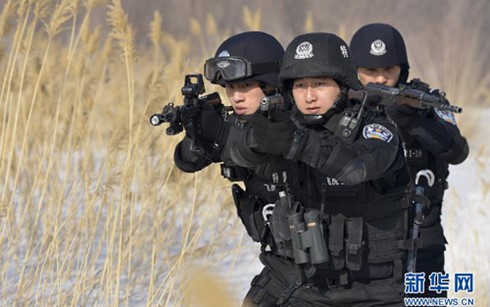 中国人民解放军可出境执行反恐任务 - ảnh 1