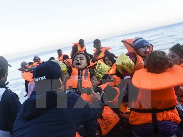 难民问题：欧洲外部边境管理局部署数百人保卫希腊边界 - ảnh 1
