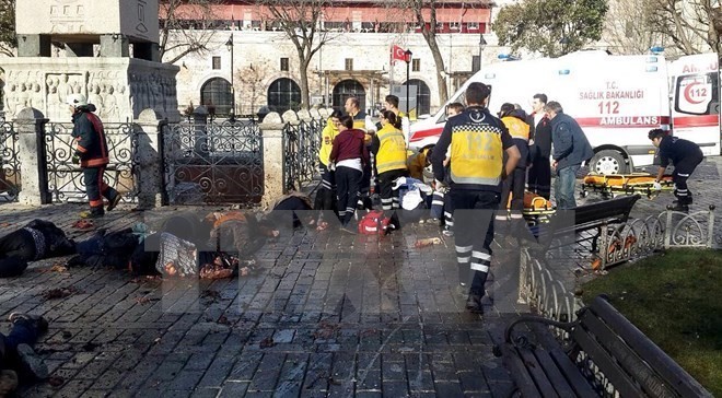 土耳其因伊斯坦布尔遭爆炸袭击连续炮击“伊斯兰国” - ảnh 1