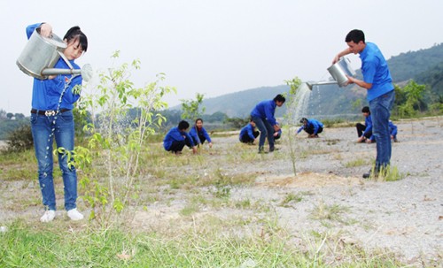  越南各地举行丙申新春植树节启动仪式 - ảnh 1