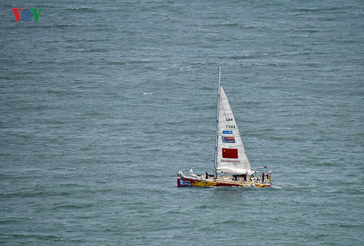 参加克利伯环游世界帆船赛的船只抵达岘港市 - ảnh 1