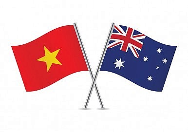 澳大利亚高度评价越南市场潜力 - ảnh 1