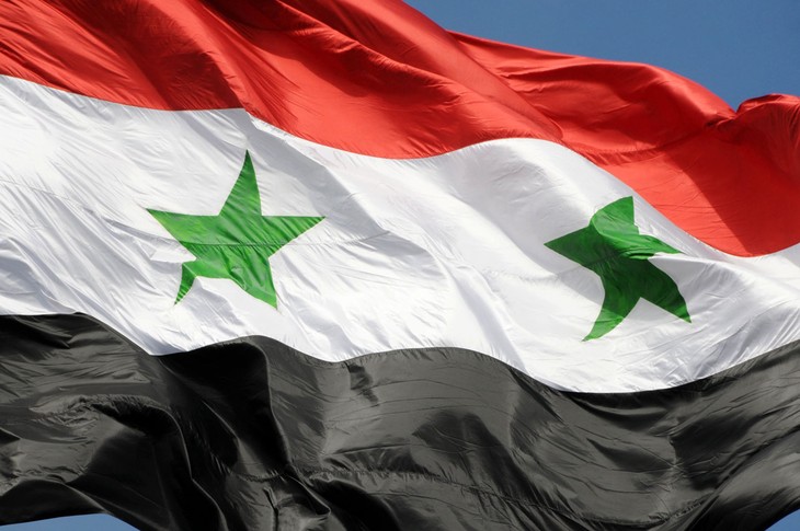 叙利亚反对所有联邦化的努力 - ảnh 1