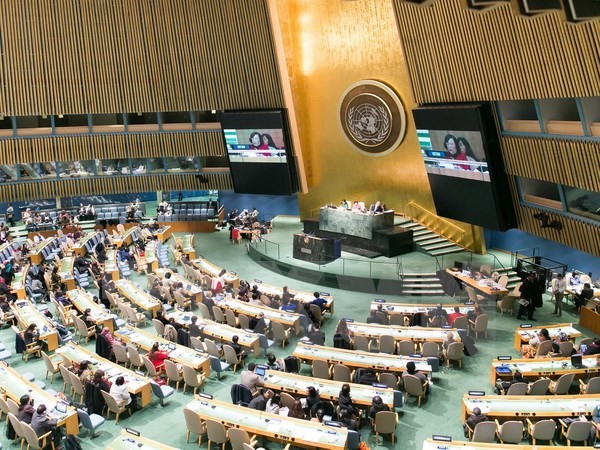 越南出席联合国第60届妇女地位委员会年会 - ảnh 1