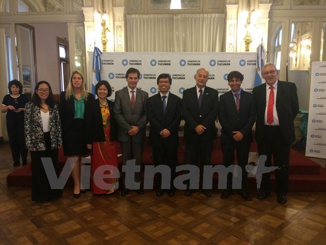 越南出席南方共同市场与东盟贸易交流促进活动 - ảnh 1