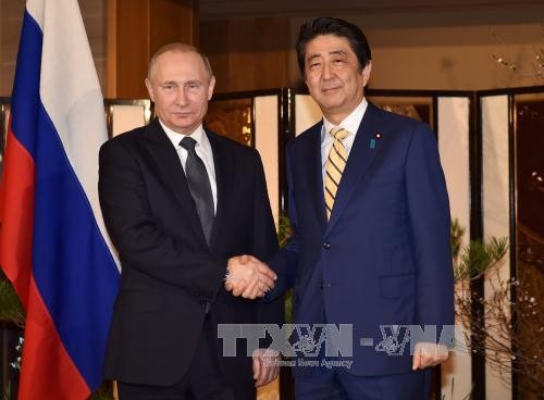 日俄讨论在争议岛屿联合开展经济活动 - ảnh 1
