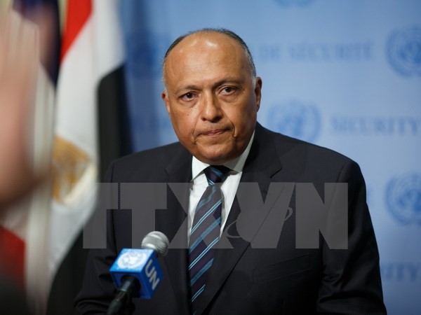 埃及和UAE建立双边政治磋商机制 - ảnh 1