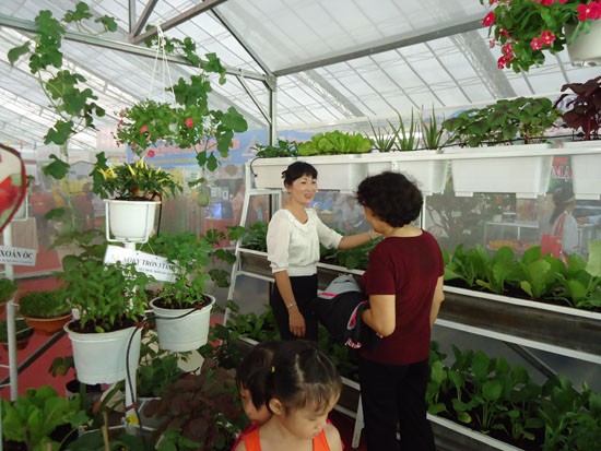 胡志明市举行第五次农业种苗展 - ảnh 1